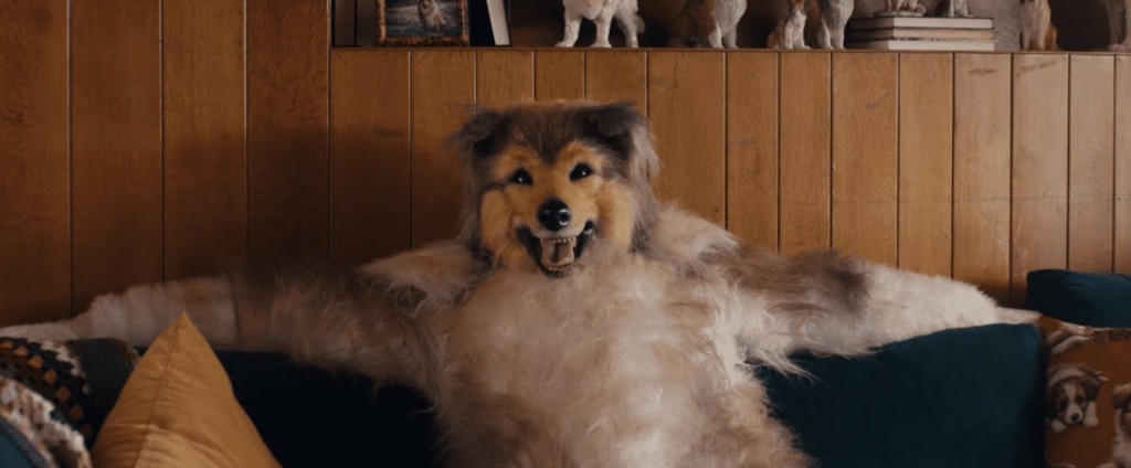 Website Feature Image Template The Power Of Sweetness Dog