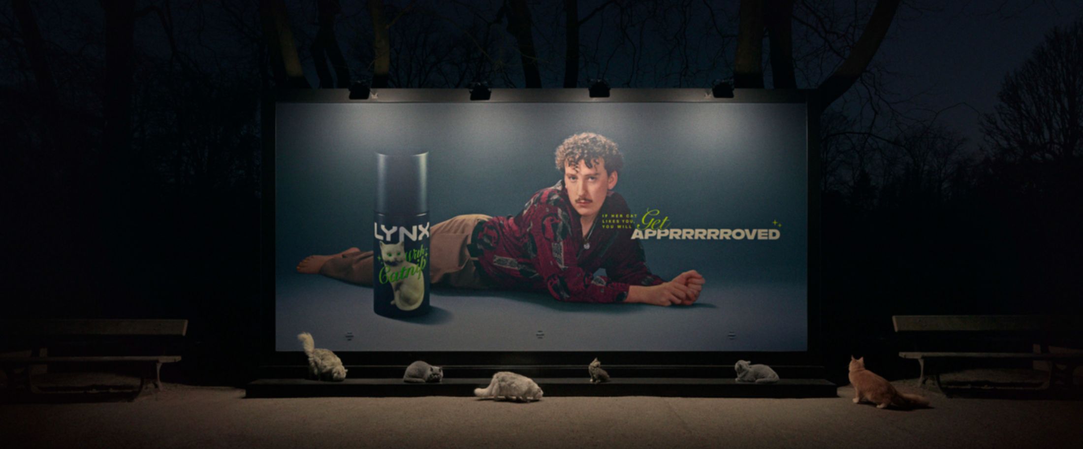 Lynx With Catnip Billboard Featured