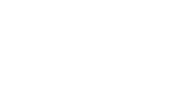 Pepsico 08.12