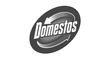 Domestos 299x166