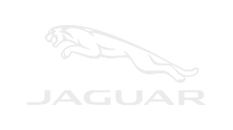 Jaguarbw
