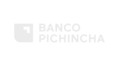 Logo banco pichincha 100