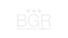 Logo bgr 100
