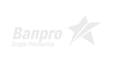 Banpro 233 x 130 black 2