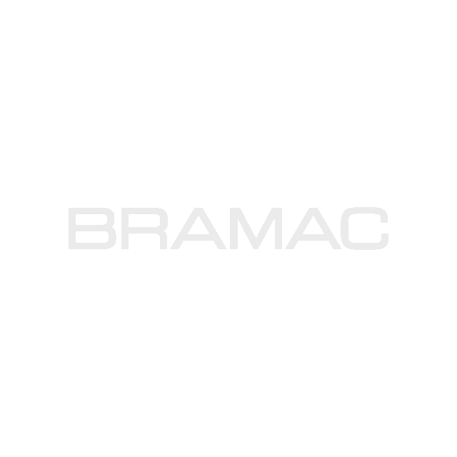 Logo bramac