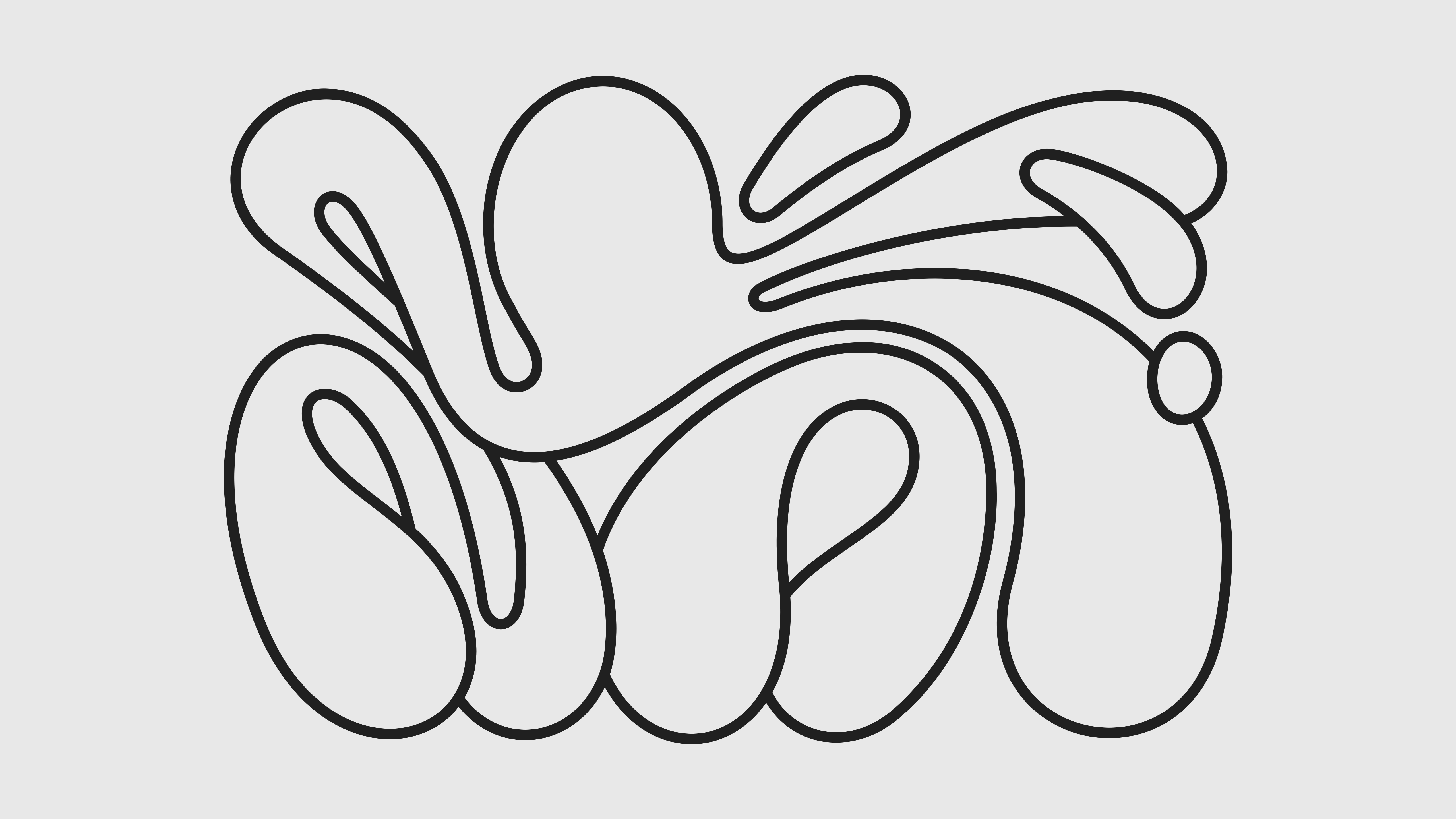01 Primary Octopus Horizontal