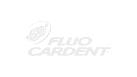 Logo Fluo