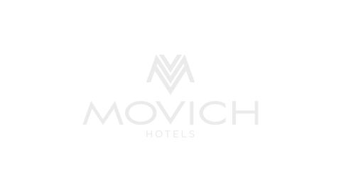 Logo Movich